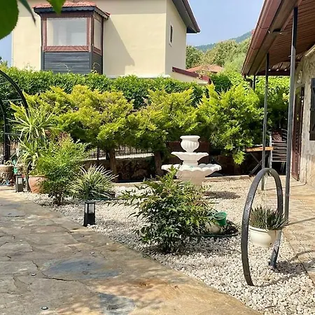 Yildiz Fethiye Ölüdeniz