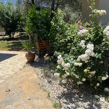 Yildiz Fethiye Ölüdeniz